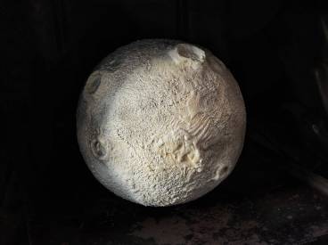 MoonCake Vojty Vrtišky
