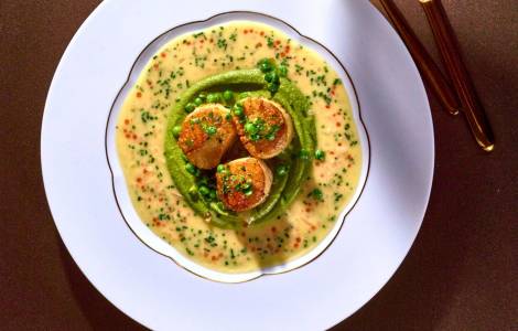 Mušle svatého Jakuba podle Mirka Kaliny